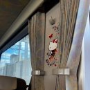 동백꽃백화점 | [교토 2박3일] Day1~2 기요미즈데라/이세탄백화점/아라시야마/가모강