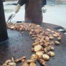 포천 구들찜가마 이미지