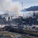 대원농장2 이미지