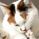 단골병원 이미지