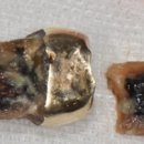 광교본치과의원 이미지