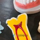 전주예치과의원 이미지