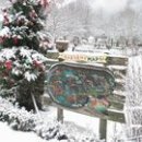 아우라지 자연농원 이미지