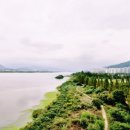 낙동강변4 이미지