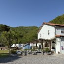낭띠전원카페 | 충남 금산 여행 대전 근교 가성비 숙소 고양이 카페 우드 감성 인테리어 프라이빗 그림이야기책 펜션...