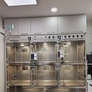 동물병원 유피 이미지
