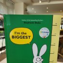 그림책놀이와 비주얼 리터러시 이미지