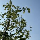 비에이치 골프 아카데미 이미지