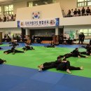 타이거합기도 이미지