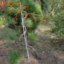 연철2농장 이미지