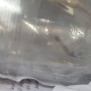 여울목 아쿠아 이미지