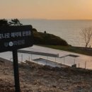 카페;보리