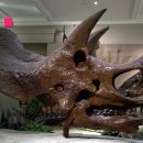 사연농장 이미지