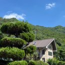 청정지하수 - 부여군 | 양산 배내골 독채 펜션 배내별장 15인 찐 후기 | 12개월, 34개월 아기랑 계곡 & 수영장