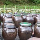 달뜨락마을 이미지