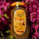 청안농장 이미지