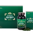 ㈜엽록소 이미지