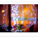 엄마밥줘 이미지