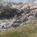 산천어탕 이미지