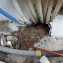 유람유치원 이미지