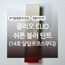 클리오 쉬폰 블러 틴트 14호 달달초코스무디 내돈내산 후기 (+라카 베베아몬드와 색상 비교, 발색사진 有)