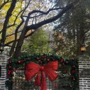 만디 | 부산에서 크리스마스 카페 찾는다면? 만디(mandi) 솔직 후기🎄