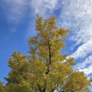 이서천 | 사람도 또한 勿 染코자 하니~