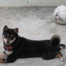 봉곡동054 이미지