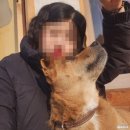 편안한 스테이 | [당진] 또 가고 싶은 편안한 사찰 : 영랑사 템플스테이 후기