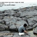 거리공연 [구럼비를 향한 묵상25-목포], 촛불집회와 같은 형태의 자발적 참가자들의 만남 이미지