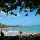 와이키키 이미지