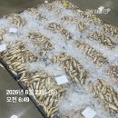 제철 황석어 노마진 특가 판매합니다^^ 딱 10세트 한정판매합니다 이미지