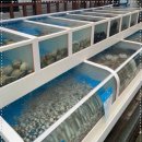 어심횟집 이미지