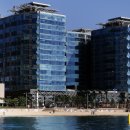 팔레드시즈 이미지