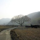 원산마을(술인방) 이미지