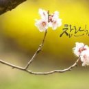 캘리그라피 이미지