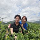 정용조농장 이미지