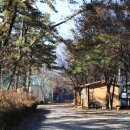 🏕️ 숲속의 오아시스! 횡성 솔밭체육공원오토캠핑장에서 무더위 탈출하자