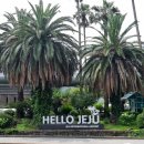 단구1리 | 제주 서부 : 보말이네 곶자왈 고산리유적 전기바이크 지질트레일 수월봉 제주고집 스타벅스제주온리