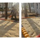 자연사랑어린이집 놀이터 이미지