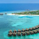 아라국제결혼 이미지