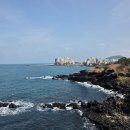 휴즐리 | 제주 공항 근처 가볼만한곳 용두암 카페 추천 휴즐리! 한라봉 젤라봉 솔직후기