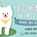 달꽃체험농장