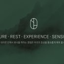 바움브릿지 네이버블로그