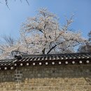 영광약국 | 데이미언 허스트 개인전 오전 10시 관람 추천후기, 작품소개