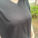 미용해·독 이미지