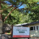 강원도 양양 계곡 바로 앞에 있는 캠핑장 &#34;비발디캠핑파크설악오색점&#34;