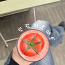 조이풀 이미지