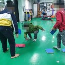 센텀태권도장 이미지