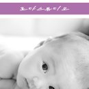 로다스튜디오